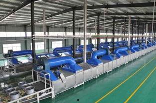 国产挂面生产线视频,科技赋能，品质生活新篇章