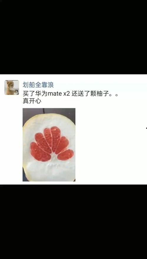 国产搞笑视频评论网站大全,揭秘国产搞笑视频评论网站大全