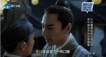 国产电视剧台词解说视频,探寻经典台词背后的故事与情感