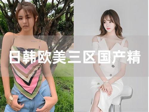 国产欧日韩视频