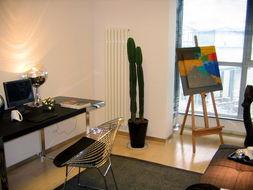 看房视频国产,全景呈现与智慧解读