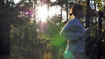 国产树林日b视频下载,探寻自然之美，共赏生态盛宴