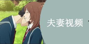 国产夫妻视频观看视频,情感共鸣与生活缩影