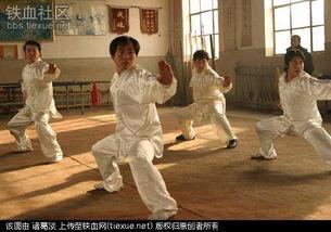 太极八极拳国产动画视频,探寻中华武术之魂的动画之旅