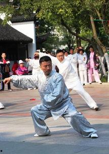 太极八极拳国产动画视频,探寻中华武术之魂的动画之旅