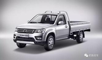 国产在售的单排皮卡视频,驾驭自由，驰骋天地