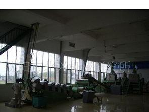 国产挂面生产线视频