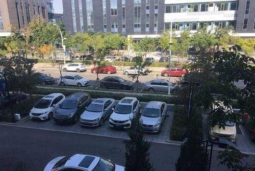 贷款买国产车视频,视频揭秘购车新选择