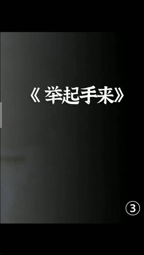 搞笑战斗片国产剧情视频,国产搞笑战斗片，热血与幽默的激情碰撞