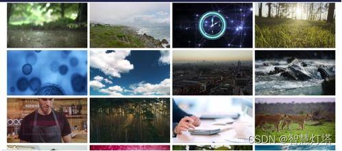 寻找国产动画视频素材库,海量资源，助力创作无限可能