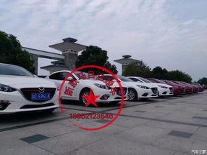 国产小马拉小车视频,挑战极限的驾驶奇观