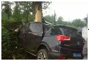 中国国产车撞大树视频,惊险瞬间撞大树，车损树毁引关注