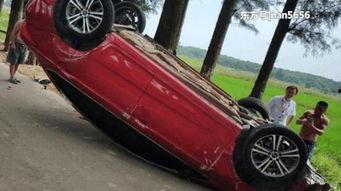 中国国产车撞大树视频,惊险瞬间撞大树，车损树毁引关注