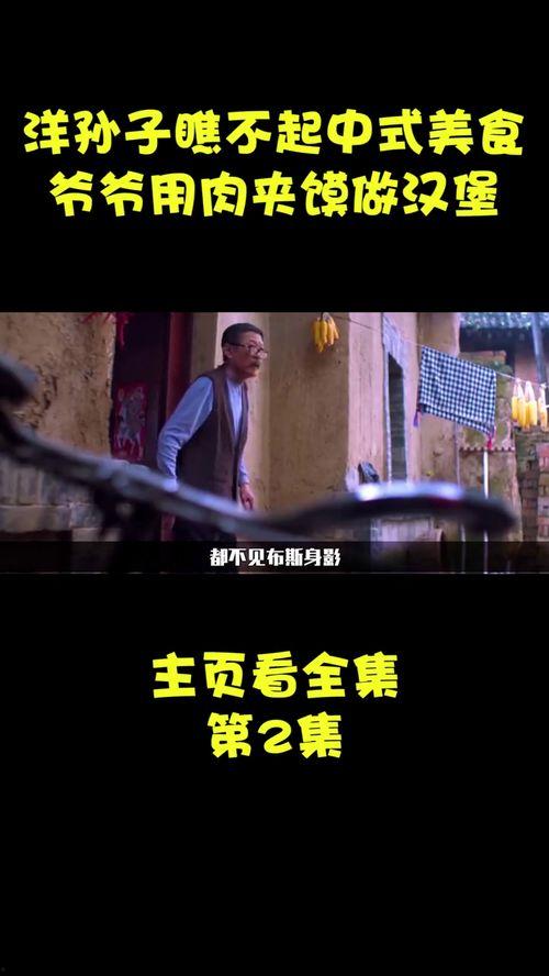 美国产的电影解说视频,揭秘美国电影解说视频的魅力