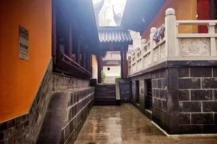 南京悠悠门视频 国产,国风舞韵，南京古城的传承与创新