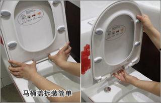 国产的马桶盖视频回放,揭秘我国智能卫浴的创新与突破