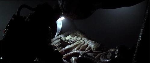 国产恐怖电影人皮蛹视频,惊悚深宅，人性深渊的恐怖之旅