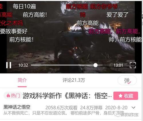 国产g点视频网站