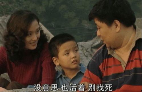 国产剧二虎和刘寡妇视频,情感纠葛下的命运抉择